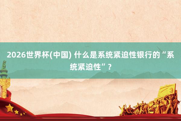 2026世界杯(中国) 什么是系统紧迫性银行的“系统紧迫性”?