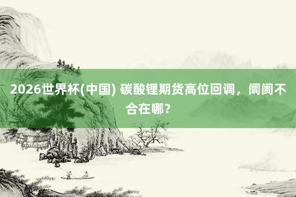 2026世界杯(中国) 碳酸锂期货高位回调，阛阓不合在哪？
