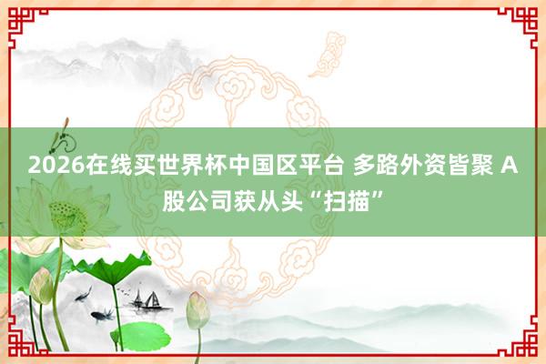 2026在线买世界杯中国区平台 多路外资皆聚 A股公司获从头“扫描”
