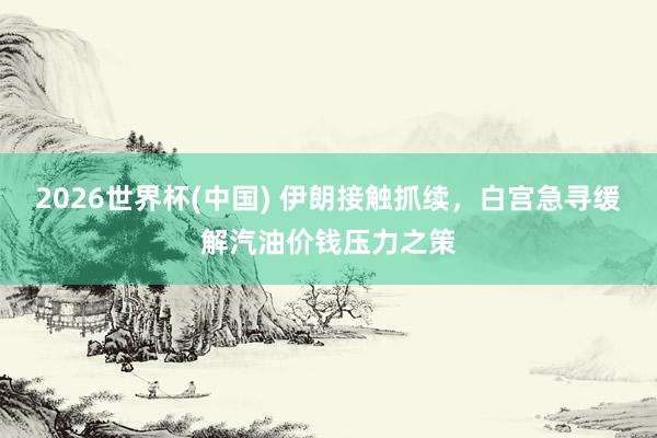 2026世界杯(中国) 伊朗接触抓续，白宫急寻缓解汽油价钱压力之策