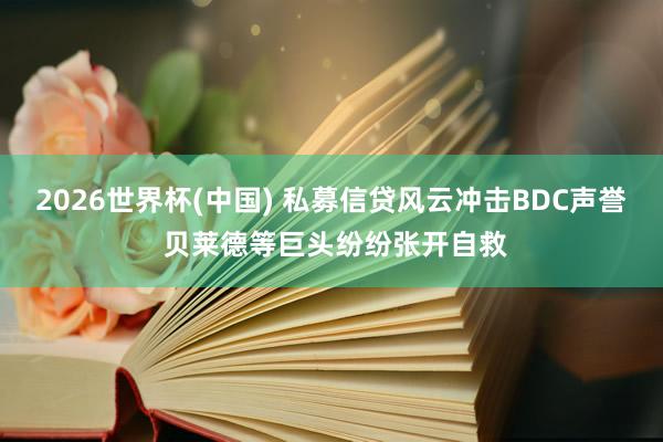 2026世界杯(中国) 私募信贷风云冲击BDC声誉 贝莱德等巨头纷纷张开自救
