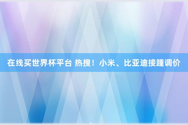 在线买世界杯平台 热搜!小米、比亚迪接踵调价