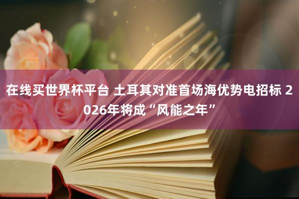 在线买世界杯平台 土耳其对准首场海优势电招标 2026年将成“风能之年”