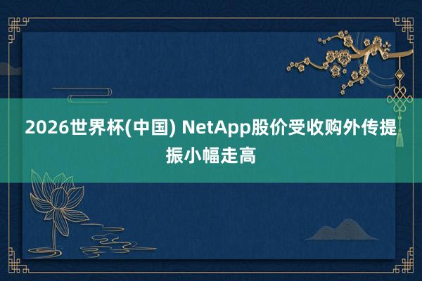 2026世界杯(中国) NetApp股价受收购外传提振小幅走高
