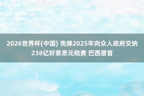2026世界杯(中国) 壳牌2025年向众人政府交纳238亿好意思元税费 巴西居首