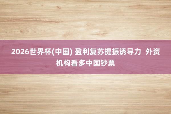 2026世界杯(中国) 盈利复苏提振诱导力 外资机构看多中国钞票