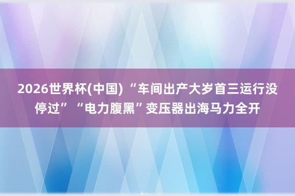 2026世界杯(中国) “车间出产大岁首三运行没停过” “电力腹黑”变压器出海马力全开