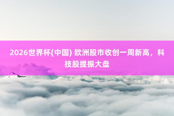 2026世界杯(中国) 欧洲股市收创一周新高，科技股提振大盘