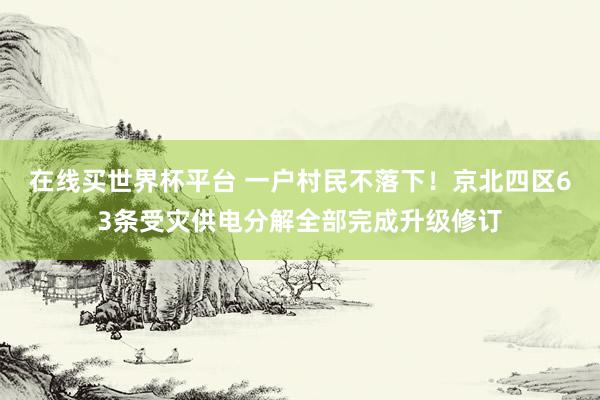 在线买世界杯平台 一户村民不落下!京北四区63条受灾供电分解全部完成升级修订