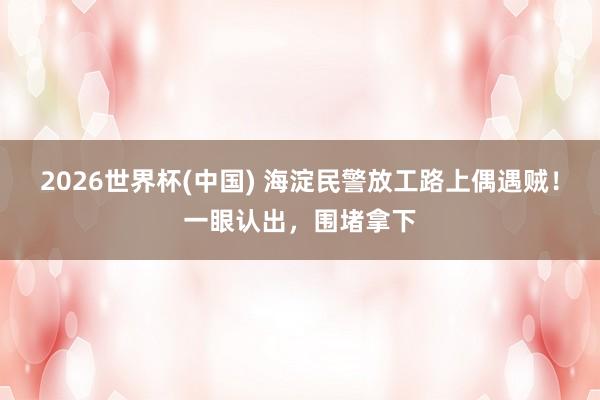 2026世界杯(中国) 海淀民警放工路上偶遇贼！一眼认出，围堵拿下