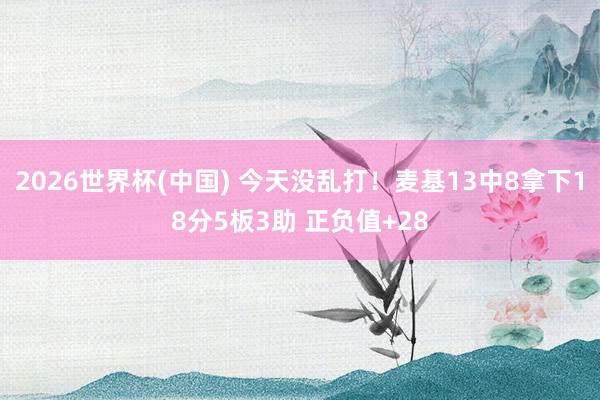 2026世界杯(中国) 今天没乱打！麦基13中8拿下18分5板3助 正负值+28