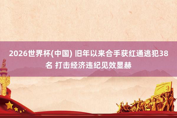 2026世界杯(中国) 旧年以来合手获红通逃犯38名 打击经济违纪见效显赫