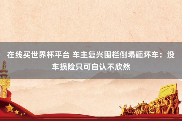 在线买世界杯平台 车主复兴围栏倒塌砸坏车：没车损险只可自认不欣然