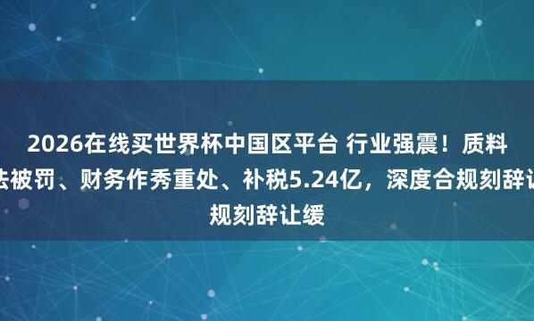 2026在线买世界杯中国区平台 行业强震！质料违法被罚、财务作秀重处、补税5.24亿，深度合规刻辞让缓