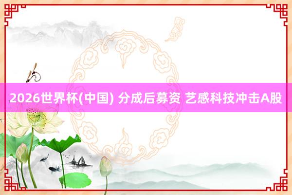 2026世界杯(中国) 分成后募资 艺感科技冲击A股