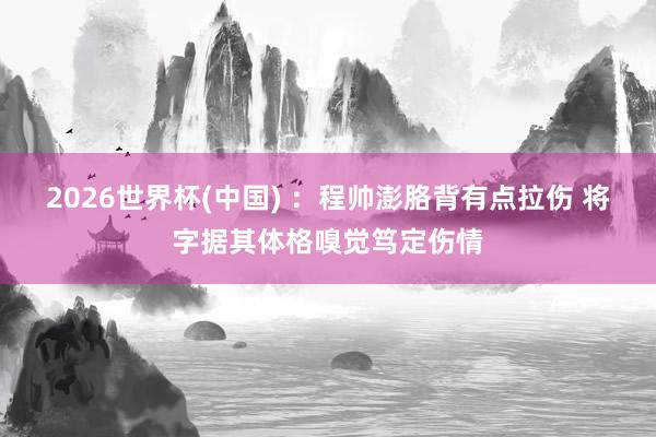 2026世界杯(中国) ：程帅澎胳背有点拉伤 将字据其体格嗅觉笃定伤情
