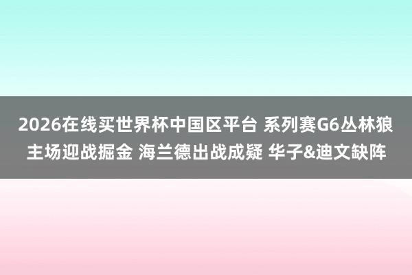 2026在线买世界杯中国区平台 系列赛G6丛林狼主场迎战掘金 海兰德出战成疑 华子&迪文缺阵