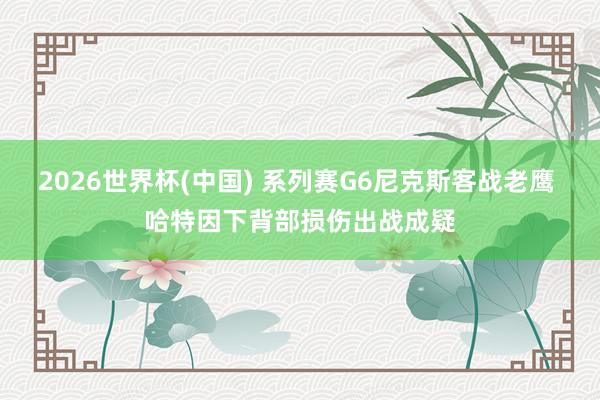 2026世界杯(中国) 系列赛G6尼克斯客战老鹰 哈特因下背部损伤出战成疑