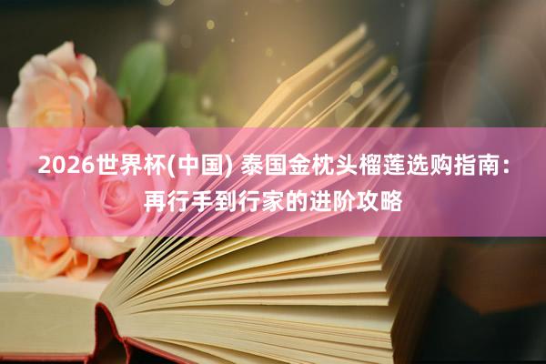 2026世界杯(中国) 泰国金枕头榴莲选购指南:再行手到行家的进阶攻略