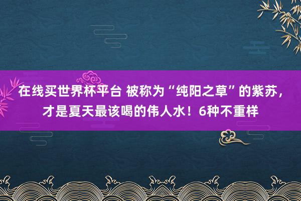 在线买世界杯平台 被称为“纯阳之草”的紫苏，<a href=