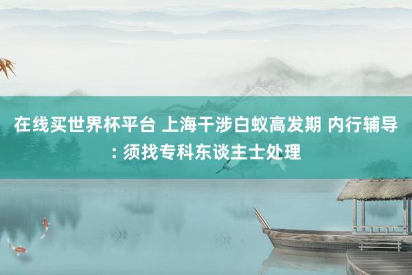 在线买世界杯平台 上海干涉白蚁高发期 内行辅导: 须找专科东谈主士处理
