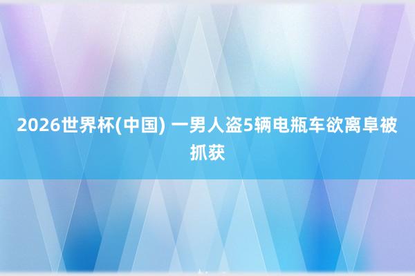 2026世界杯(中国) 一男人盗5辆电瓶车欲离阜被抓获