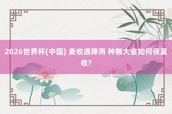 2026世界杯(中国) 麦收遇降雨 种粮大省如何保夏收?