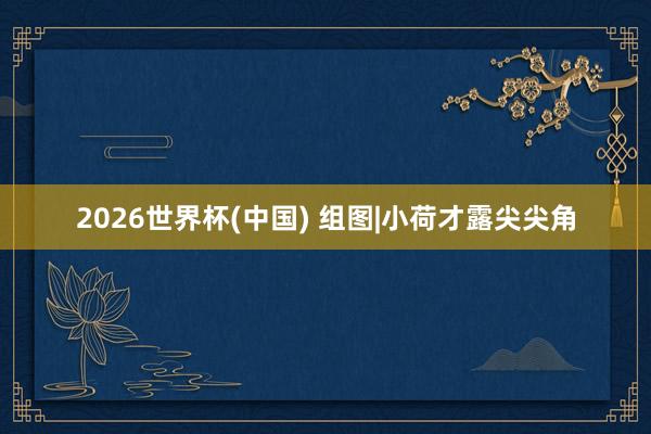 2026世界杯(中国) 组图|小荷才露尖尖角