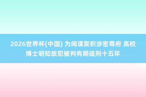 2026世界杯(中国) 为间谍聚积涉密尊府 高校博士明知故犯被判有期徒刑十五年