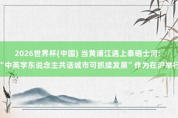 2026世界杯(中国) 当黄浦江遇上泰晤士河: “中英学东说念主共话城市可抓续发展”作为在沪举行