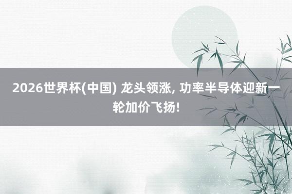 2026世界杯(中国) 龙头领涨， 功率半导体迎新一轮加价飞扬!