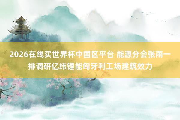 2026在线买世界杯中国区平台 能源分会张雨一排调研亿纬锂能匈牙利工场建筑效力