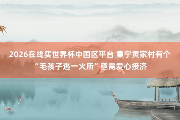 2026在线买世界杯中国区平台 集宁黄家村有个“毛孩子逃一火所”亟需爱心接济