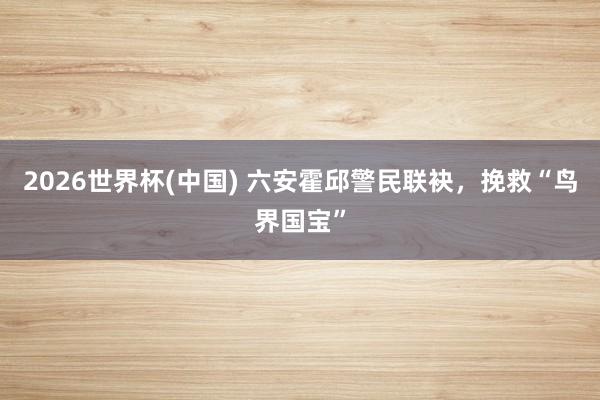 2026世界杯(中国) 六安霍邱警民联袂,挽救“鸟界国宝”