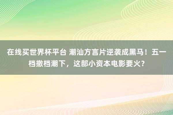 在线买世界杯平台 潮汕方言片逆袭成黑马!五一档撤档潮下,这部小资本电影要火?