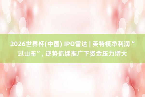 2026世界杯(中国) IPO雷达 | 英特模净利润“过山车”， 逆势抓续推广下资金压力增大