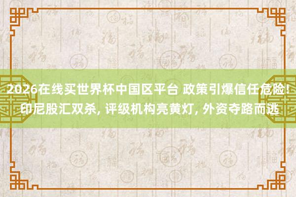 2026在线买世界杯中国区平台 政策引爆信任危险! 印尼股汇双杀, 评级机构亮黄灯, 外资夺路而逃
