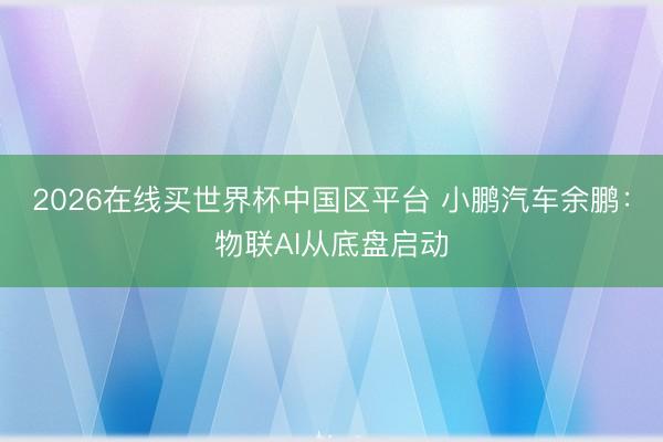 2026在线买世界杯中国区平台 小鹏汽车余鹏:物联AI从底盘启动
