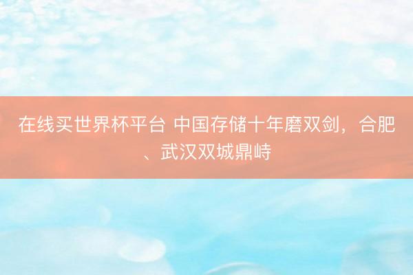 在线买世界杯平台 中国存储十年磨双剑，合肥、武汉双城鼎峙