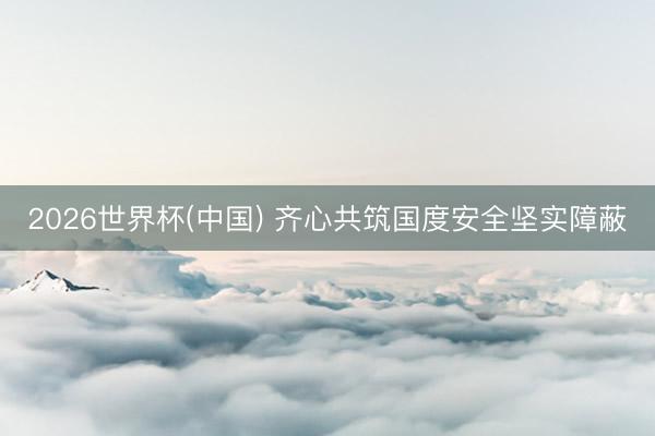 2026世界杯(中国) 齐心共筑国度安全坚实障蔽