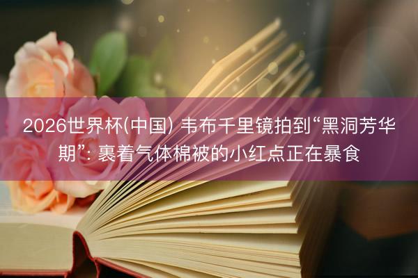 2026世界杯(中国) 韦布千里镜拍到“黑洞芳华期”: 裹着气体棉被的小红点正在暴食