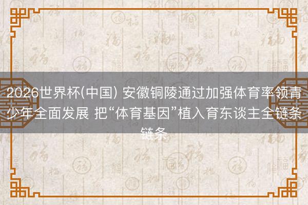 2026世界杯(中国) 安徽铜陵通过加强体育率领青少年全面发展 把“体育基因”植入育东谈主全链条