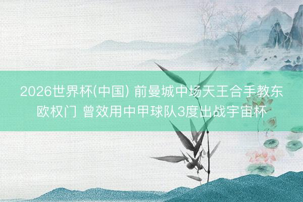 2026世界杯(中国) 前曼城中场天王合手教东欧权门 曾效用中甲球队3度出战宇宙杯