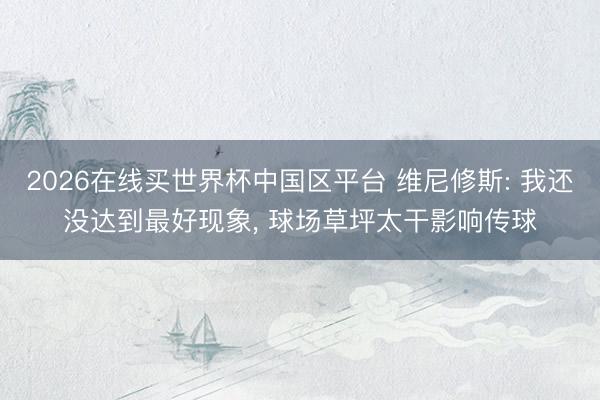 2026在线买世界杯中国区平台 维尼修斯: 我还没达到最好现象， 球场草坪太干影响传球