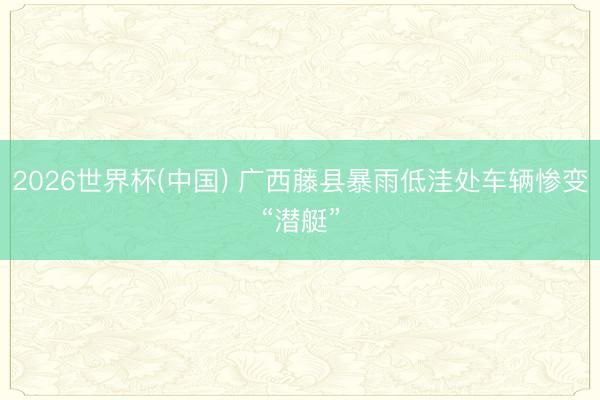 2026世界杯(中国) 广西藤县暴雨低洼处车辆惨变“潜艇”