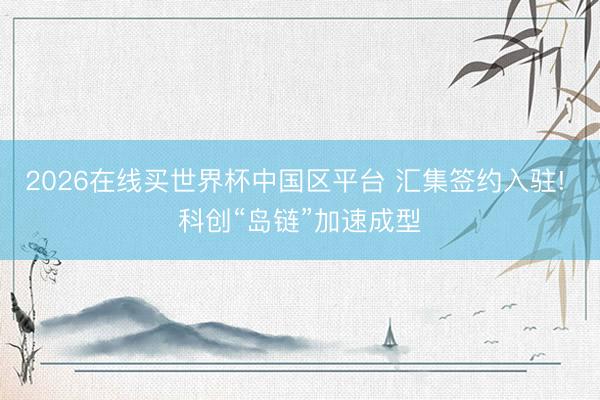 2026在线买世界杯中国区平台 汇集签约入驻! 科创“岛链”加速成型