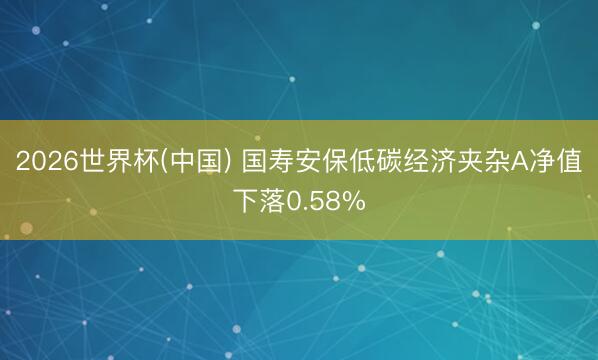 2026世界杯(中国) 国寿安保低碳经济夹杂A净值下落0.58%