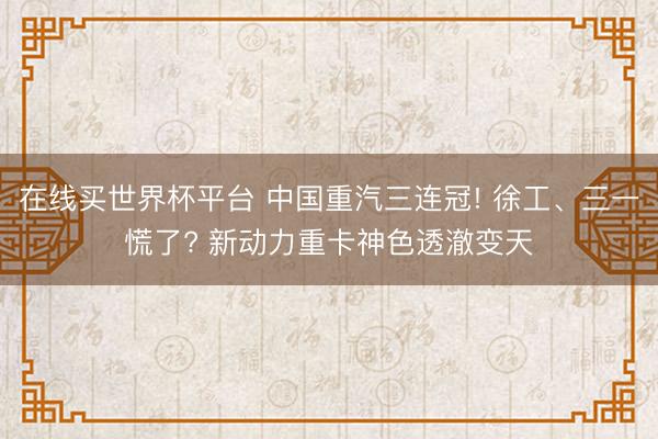 在线买世界杯平台 中国重汽三连冠! 徐工、三一慌了? 新动力重卡神色透澈变天
