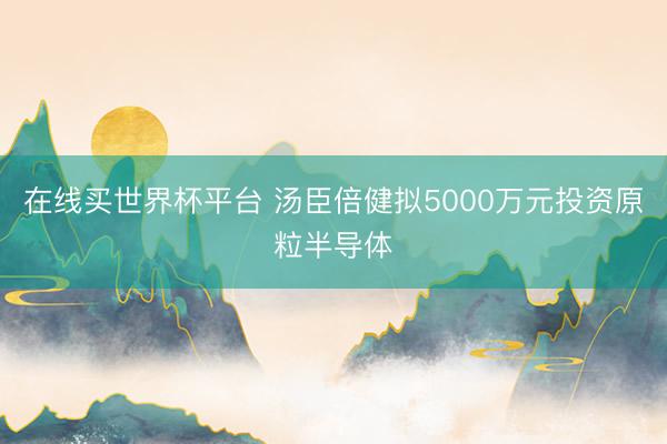 在线买世界杯平台 汤臣倍健拟5000万元投资原粒半导体